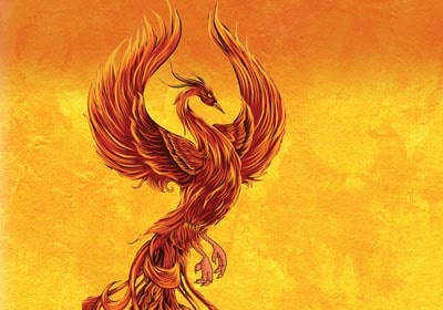 Rise like a Phoenix