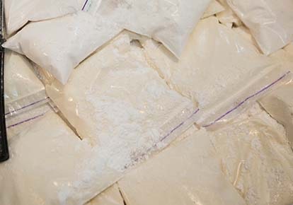 Cocaine in shipment to Swiss coffee plant